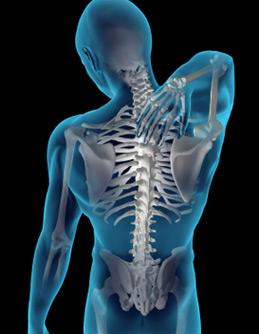 spinal-cord-injury-jonap-and-associates-pc-l